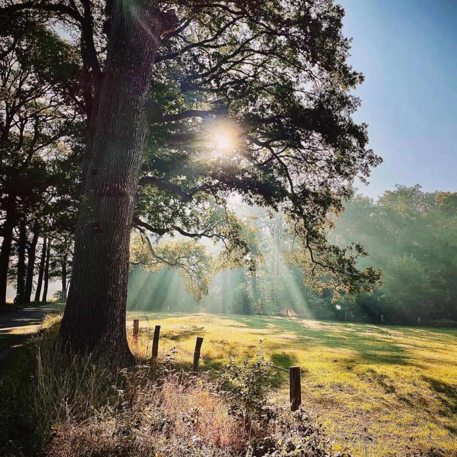 Landgoed Lodges Scholten Linde Rossum  Esterno foto